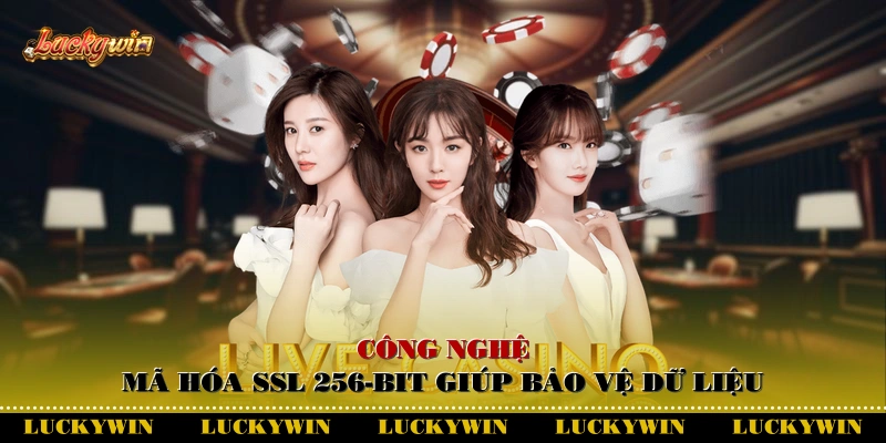 Công nghệ mã hóa SSL 256-bit giúp bảo vệ dữ liệu
